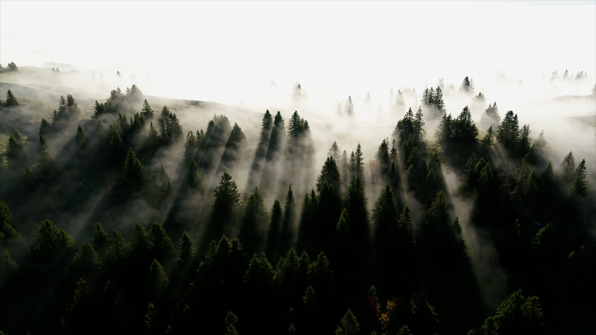 video-section-banner-image